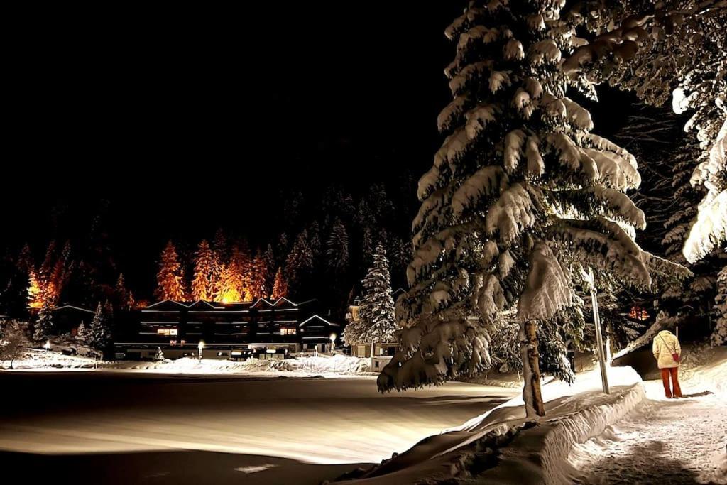 Superbe Appartement Champex-Lac Avec Piscine Et Sauna Eksteriør bilde